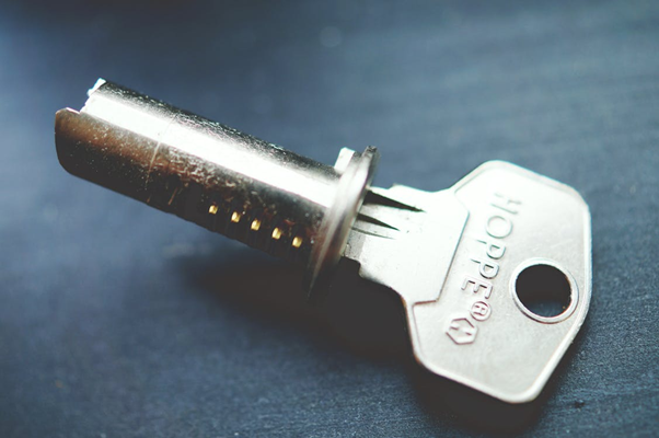 Close-up of a gray Hoppe tubular key